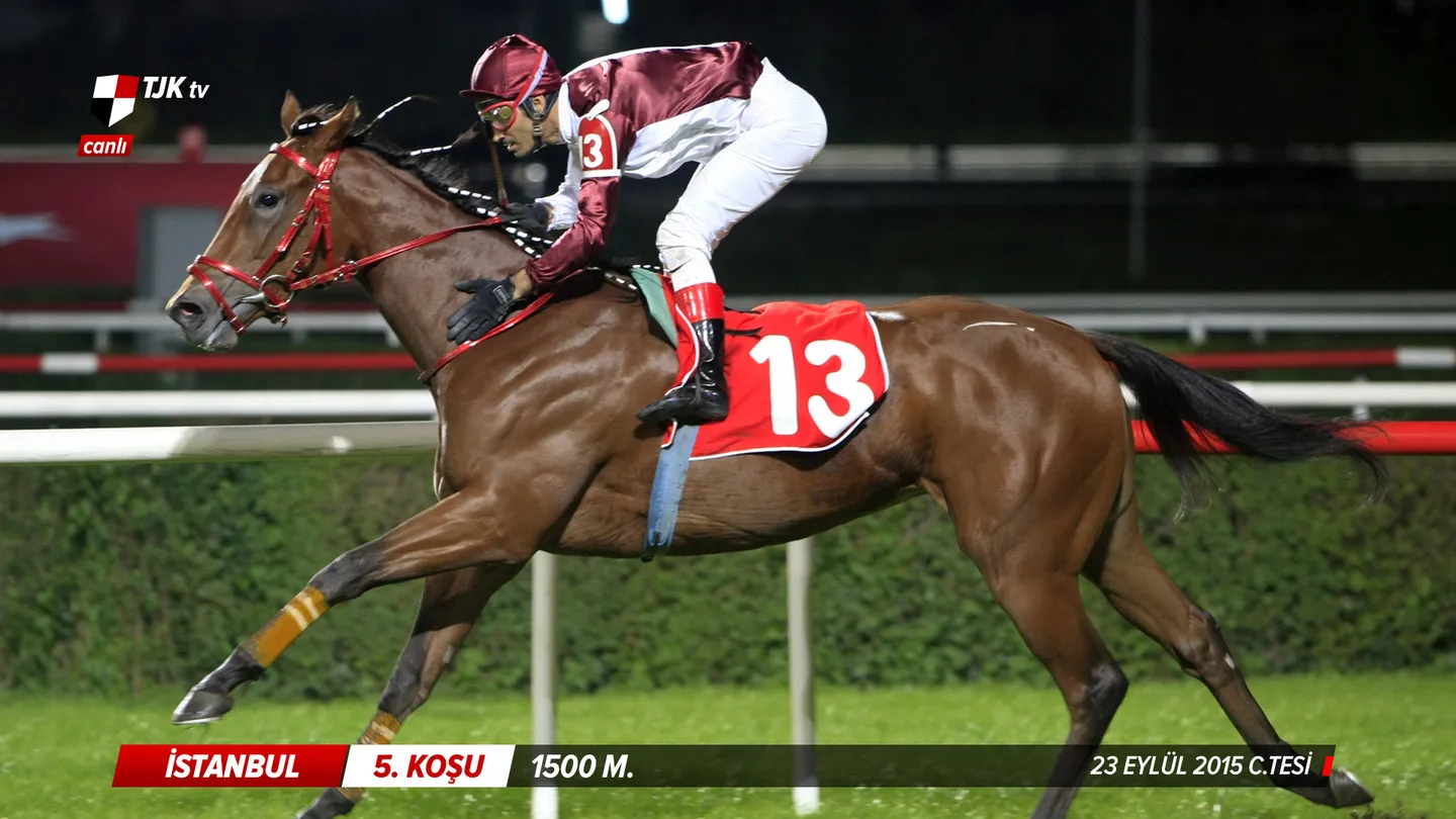 Sport Channel Branding work related to Horse Racing Channel Broadcast Design depicting V4 of a lower third visual.  This example is for Sports Broadcast Graphics, On Air Graphics, Sport Channel Graphics Design, Sport Infographic Design, Horse Racing TV.